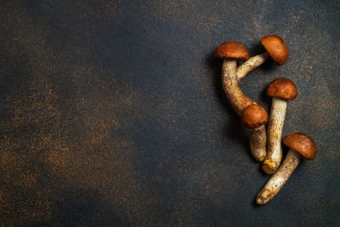 Gold Cap Mushrooms Effects, Signs, Withdrawals & Treatments